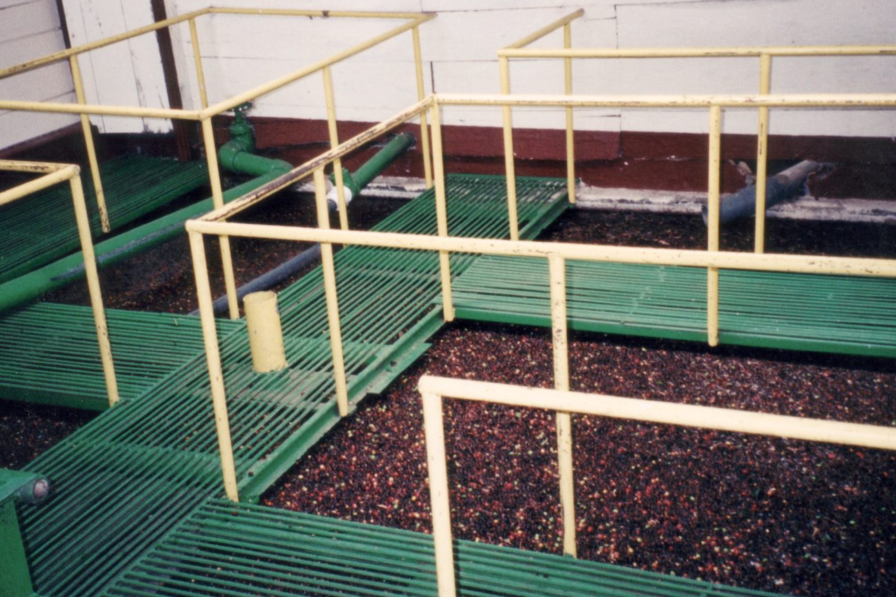 Coffee processing and washing vats