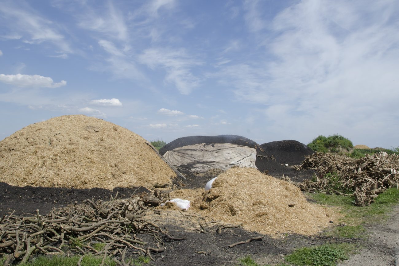 Hardwood stacked for charcoal production